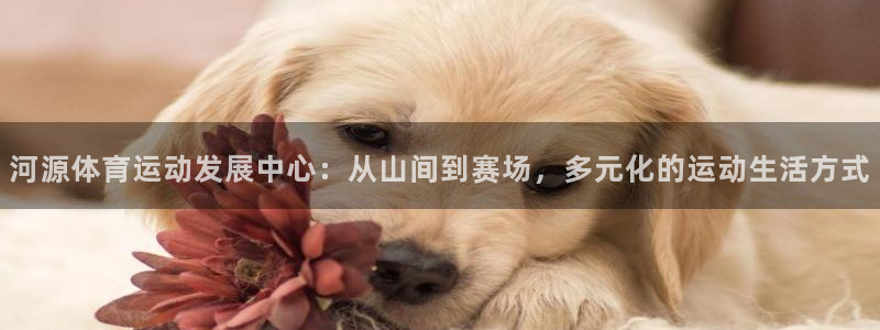 嗨王体育app官方网站：河源体育运动发展中心：从山间到赛场，多元化的运动生活方式