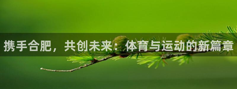 嗨王体育APP下载安装