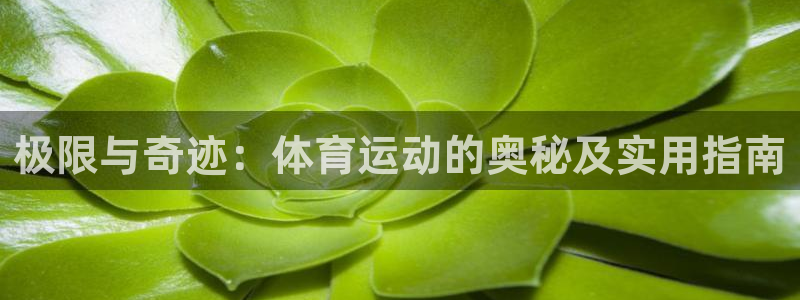 嗨王体育app改名了吗最新消息：极限与奇迹：体育运动的奥秘及实用指南